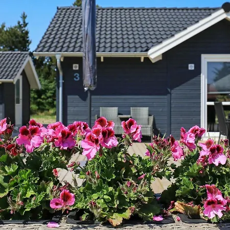 Holiday Xxvi Blavand